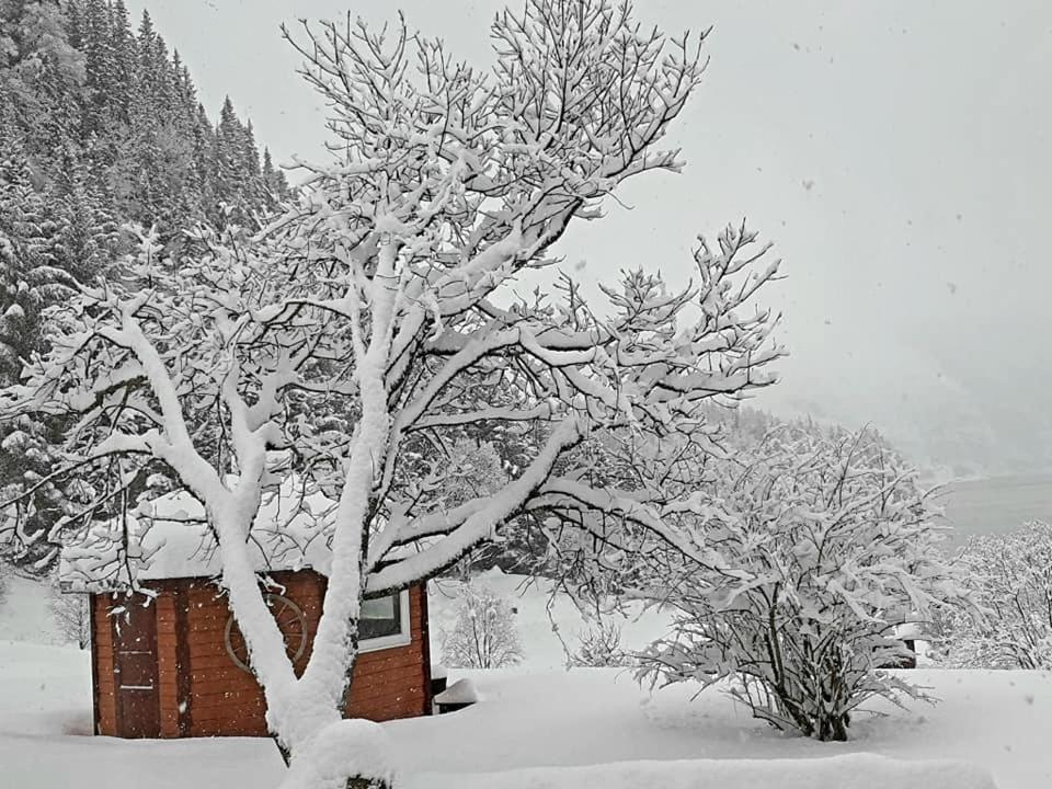 Graceland Norway Foldereid Zewnętrze zdjęcie